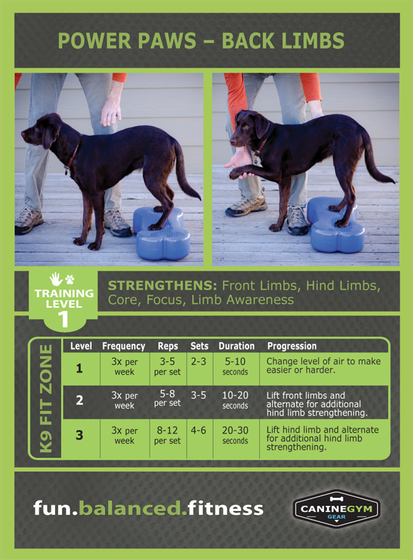 CanineGym K9FITbone Exercise Card Power Paws FitPAWS FitPaws