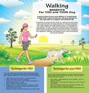 what are the benefits of walking your dog