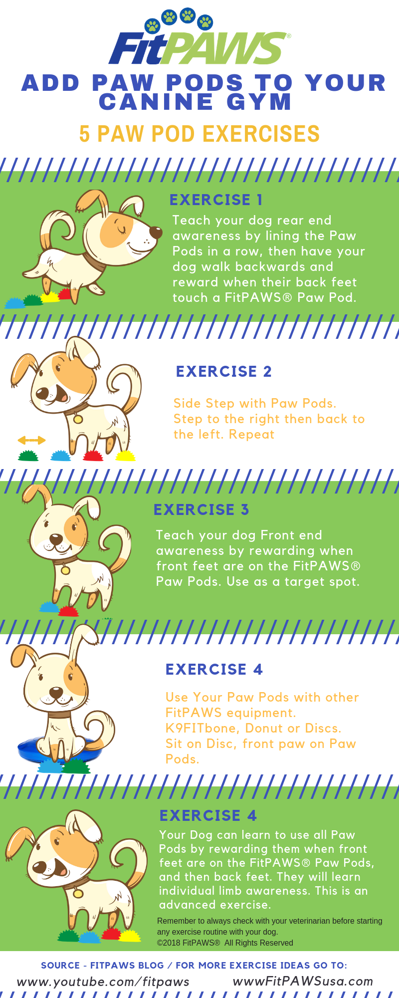 Training Exercises for Dogs. Teach Your Dog More Exercises