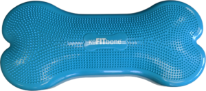 Giant K9FITbone by FitPAWS Canine Fitness