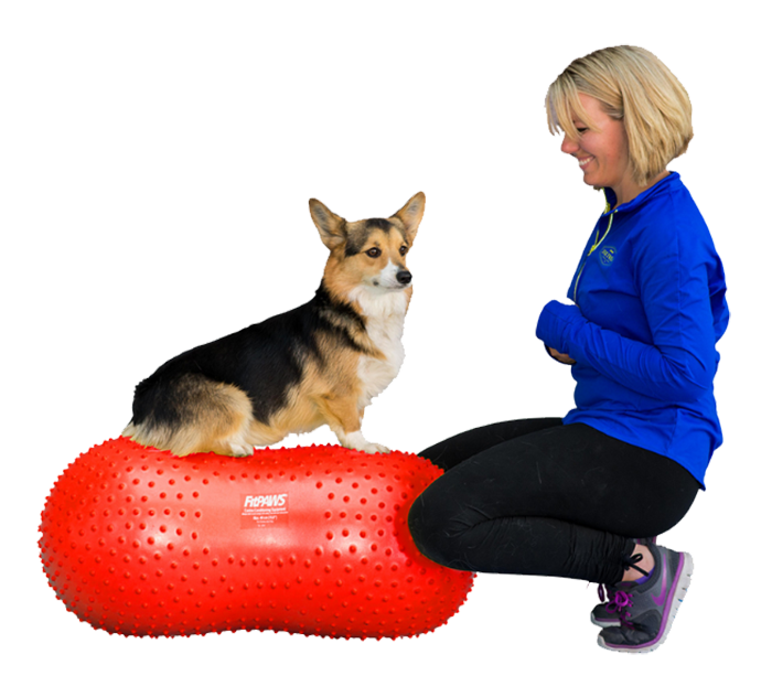 FitPAWS Peanut for Canine Conditioning and Dog Training
