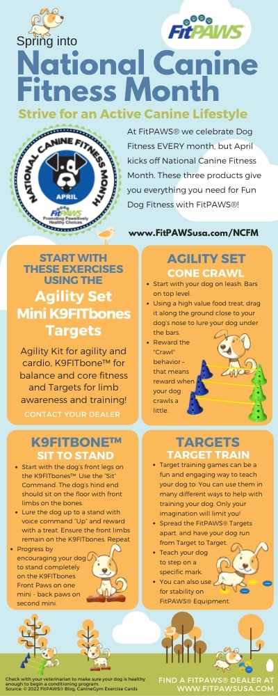 FitPaws National Canine Fitness Month KIT