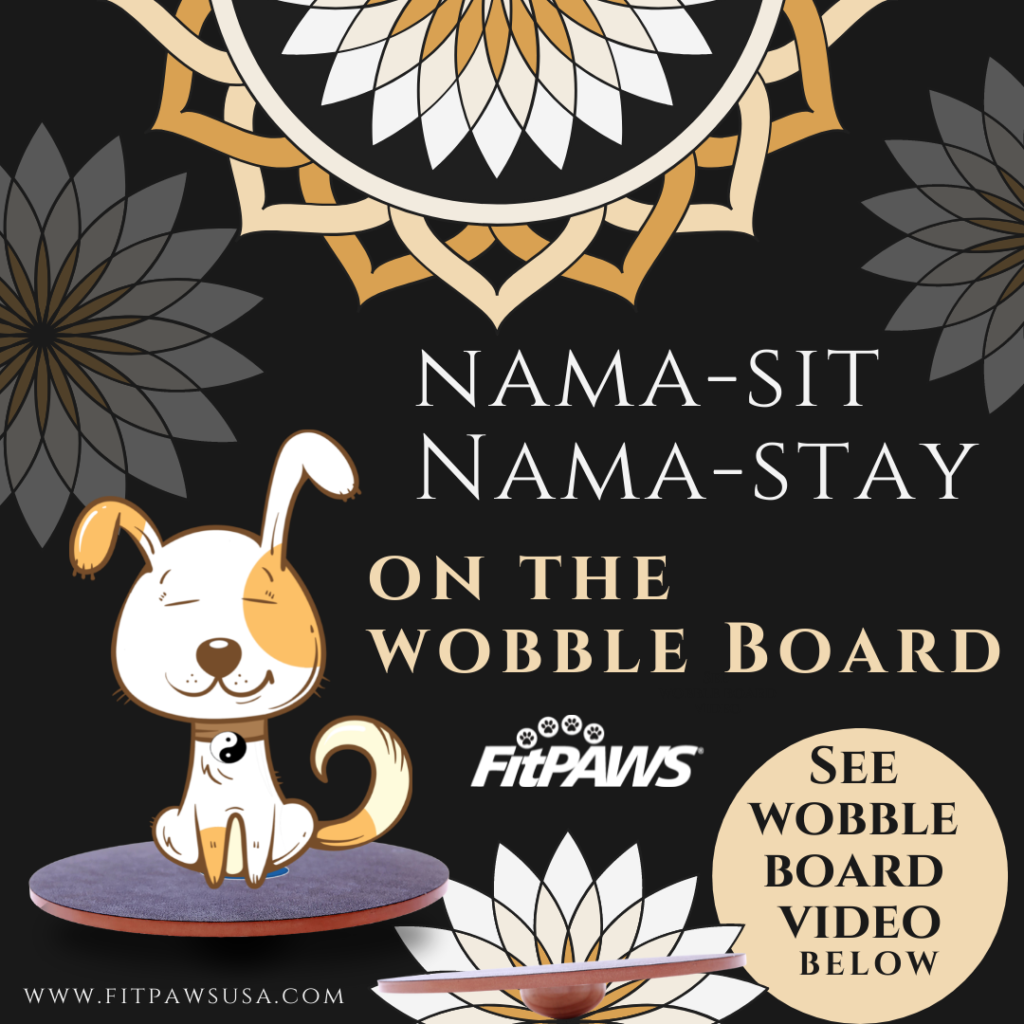 This image has an empty alt attribute; its file name is FitPAWS-Wobble-Board-Below-Nama-stay-1024x1024.png